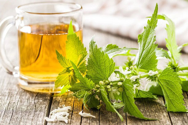 عرق گزنه برای چی خوبه ؟!