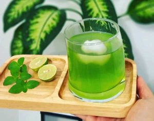 طرز درست کردن شربت نعناع